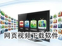 网页视频下载软件